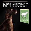 Про План ЛАДЖ АТЛЕТИК СЕНСИТИВ сухой корм для собак крупных пород с атлетическим телосложением, с ягненком, 3кг, PRO PLAN Large Athletic Sensitive Digestion