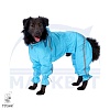 Комбинезон для собаки ЧАУ-ЧАУ, спортивный дождевик без подкладки, на суку, длина спины 52см, обхват груди 87см, ТУЗИК