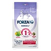 Форца10 МОНОДАЙЕТ МИНИ/ТОЙ СЕНСИТИВ ДАЙДЖЕСЧЕН сухой корм для собак мелких пород с чувствительным пищеварением, с анчоусами, 1,5кг, Forza10 Monodiet Mini&Toy Sensiтive Digestion  