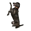 Ошейник для собак Хантер КАНАДИАН 65, 35мм/50-56см, рыжий/черный, натуральная кожа лося, 42789, HUNTER Canadian