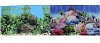 Фон для Аквариума двухсторонний Коралловый рай/Подводный пейзаж 30х60см, PR-002361, PRIME