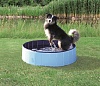 Бассейн для собак 160*h30см, голубой/синий, 39483, TRIXIE
