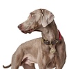 Ошейник для собак Хантер ЛИСТ 70, 12мм/57-65см, круглого сечения, бордовый, полиэстер/кожа, 65076, HUNTER List