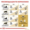 Роял Канин СИБИРСКАЯ сухой корм для кошек Сибирской породы, 2кг, ROYAL CANIN Siberian