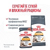Роял Канин ХЭЙР ЭНД СКИН влажный корм для кошек для здоровья кожи и шерсти, кусочки в соусе, 85г, ROYAL CANIN Hair & Skin Care