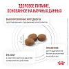 Роял Канин ГАСТРОИНТЕСТИНАЛ ХЭЙРБОЛ лечебный сухой корм для кошек, 2кг, ROYAL CANIN Gastrointestinal Hairball