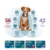 Оквет ЭКСПРЕССТАБС препарат от блох, клещей, вшей и гельминтов для собак весом  2,5 - 5кг, 2 таблетки, АВЗ OkVet ExpressTabs