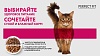 Перфект Фит ХЭЙР ЭНД СКИН влажный корм для кошек для красивой шерсти и здоровой кожи, с индейкой в соусе, 75г, PERFECT FIT Hair & Skin