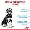 Роял Канин МАКСИ ПАППИ сухой корм для щенков крупных пород,  3кг, ROYAL CANIN Maxi Puppy