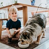 Миска для животных Хантер ЛУНД 1100мл, белая, керамика, 67435, HUNTER Ceramic Bowl Lund