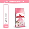 Роял Канин КИТТЕН сухой корм для котят до 12 месяцев,  1,2кг, ROYAL CANIN Kitten