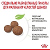 Роял Канин МЕДИУМ ПАППИ сухой корм для щенков средних пород,  3кг, ROYAL CANIN Medium Puppy