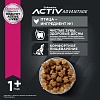 Эукануба сухой корм для собак крупных пород с птицей, 15кг, EUKANUBA Adult Large Breed 