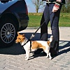Автомобильный ремень безопасности со шлейкой для собак, 30-70см, нейлон, 1290, TRIXIE