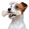 Игрушка кость со вкусом говядины ГУДБАЙТ, для собак, 11 х 3,6 х h1,7см, нва основе природного полимера, 88040012, FERPLAST