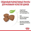 Роял Канин МИНИ ПАППИ сухой корм для щенков мелких пород,  800г, ROYAL CANIN Mini Puppy