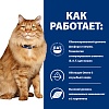 Хиллс K/D + МОБИЛИТИ лечебный сухой корм для кошек при хронической почечной недостаточности с поддержкой суставов, с курицей, 1,5кг, HILL'S Prescription Diet K/D + Mobility