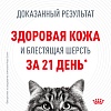 Роял Канин ХЭЙР ЭНД СКИН влажный корм для кошек для здоровья кожи и шерсти, кусочки в соусе, 85г, ROYAL CANIN Hair & Skin Care