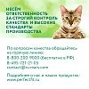 Перфект Фит ИММУНИТИ сухой корм для кошек для поддержки иммунитета, с индейкой, спирулиной и клюквой,  580г, PERFECT FIT Immunity