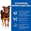 Хиллс КУЛИНАРИ КРИЭЙШН сухой корм для собак для поддержания жизненной энергии и иммунитета, с уткой и картофелем,  2,5кг, Hill's Culinary Creations  