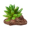 Растение искусственное для террариума ТОЛСТЯНКА, 9,5*7*9см, пластик, 84044002, LAGUNA AQUA