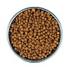 Core КИТТЕН сухой корм для котят, беззерновой, с индейкой, курицей и лососем,  1,75кг, WELLNESS CORE