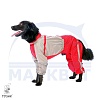 Комбинезон для собаки БАССЕТ-ХАУНД, дождевик без подкладки, НА КОБЕЛЯ, длина спины 62см, обхват груди 83см, ТУЗИК