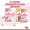 Роял Канин МАЗЕР ЭНД БЭБИКЕТ сухой корм для котят в возрасте до 4 месяцев и беременных или кормящих кошек,  400г, ROYAL CANIN Mother and Babycat 