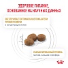 Роял Канин УРИНАРИ S/O лечебный сухой корм для кошек, 3,5кг, ROYAL CANIN Urinary S/O