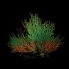 Композиция из искусственных растений, светящаяся в темноте, бордовая/бирюзовая, 12см, пластик, 74044222, LAGUNA AQUA
