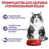 Роял Канин ИНСТИНКТИВ и СТЕРИЛАЙЗД набор влажного корма в соусе, 10*85г, ROYAL CANIN Instinctive/Sterilised