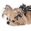 Украшение для собаки - заколка-бант ЛЕНТА с искусственным жемчугом, черный, WN024, FPO Bijoux