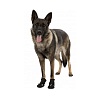Ботинки для собак ВОЛКЕР АКТИВ, размер L-XL (Золотистый Ретривер), подошва до 7см, в упаковке 2шт, ТПР, полиэстер, TRIXIE