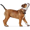 Ошейник для собак ХАНТЕР Коди Комфорт 40, 28мм/30-35см, рыжий/темно-коричневый, натуральная кожа, 65250, HUNTER CODY COMFORT